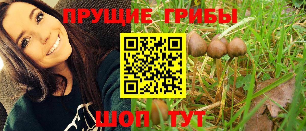 Обнинск  Псилоцибиновые грибы мицелий  Вход с VPN  Галлюциногенные грибы мухоморы 
